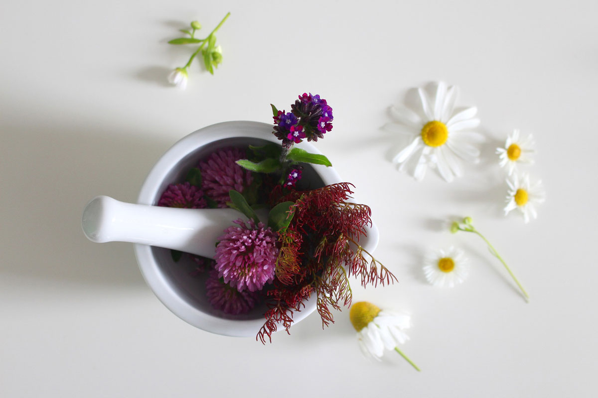 Primera visita Naturopatía o Acupuntura