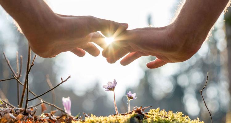 Armonización Energética