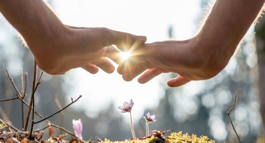  Armonización Energética