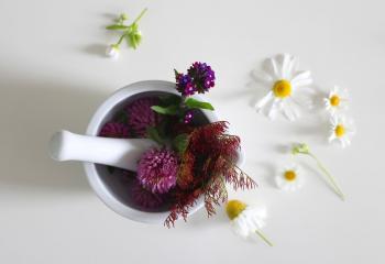 Primera visita Naturopatía o Acupuntura